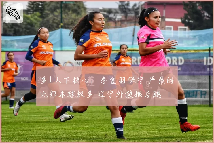 多1人下核心,李金羽保守 严鼎皓比邦本球权多 辽宁外援拖后腿