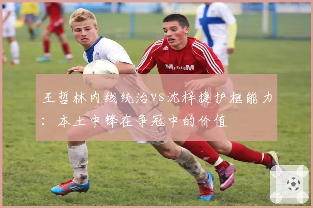 王哲林内线统治vs沈梓捷护框能力：本土中锋在争冠中的价值