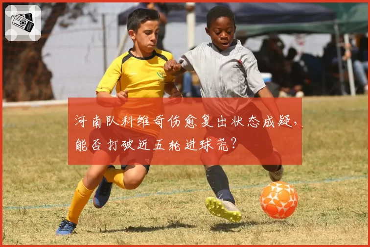 河南队科维奇伤愈复出状态成疑，能否打破近五轮进球荒？