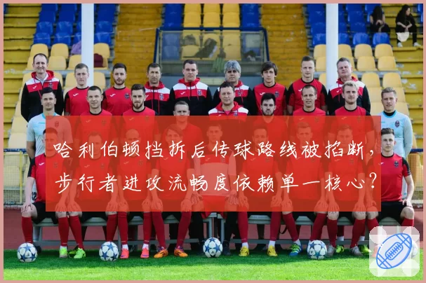 哈利伯顿挡拆后传球路线被掐断,步行者进攻流畅度依赖单一核心?