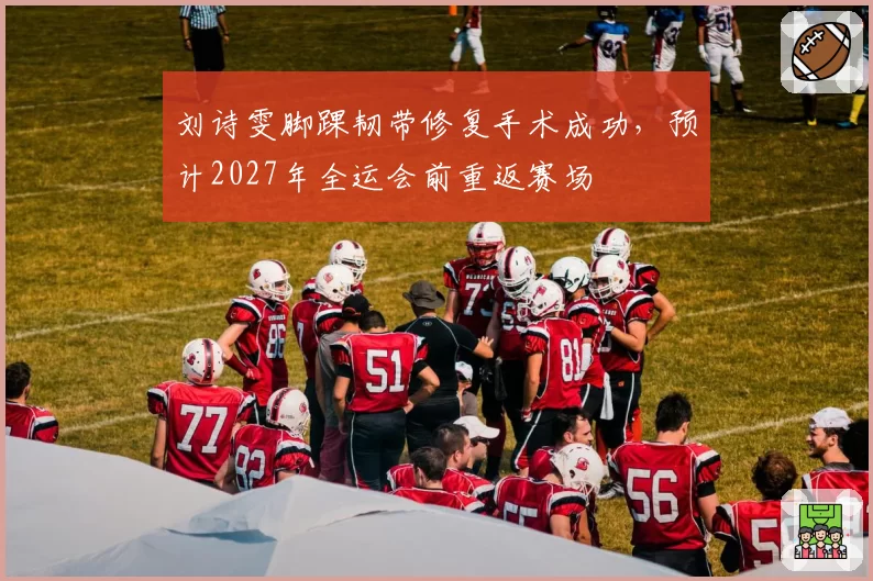 刘诗雯脚踝韧带修复手术成功，预计2027年全运会前重返赛场