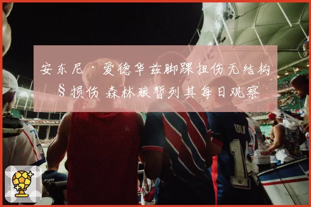 安东尼·爱德华兹脚踝扭伤无结构性损伤 森林狼暂列其每日观察